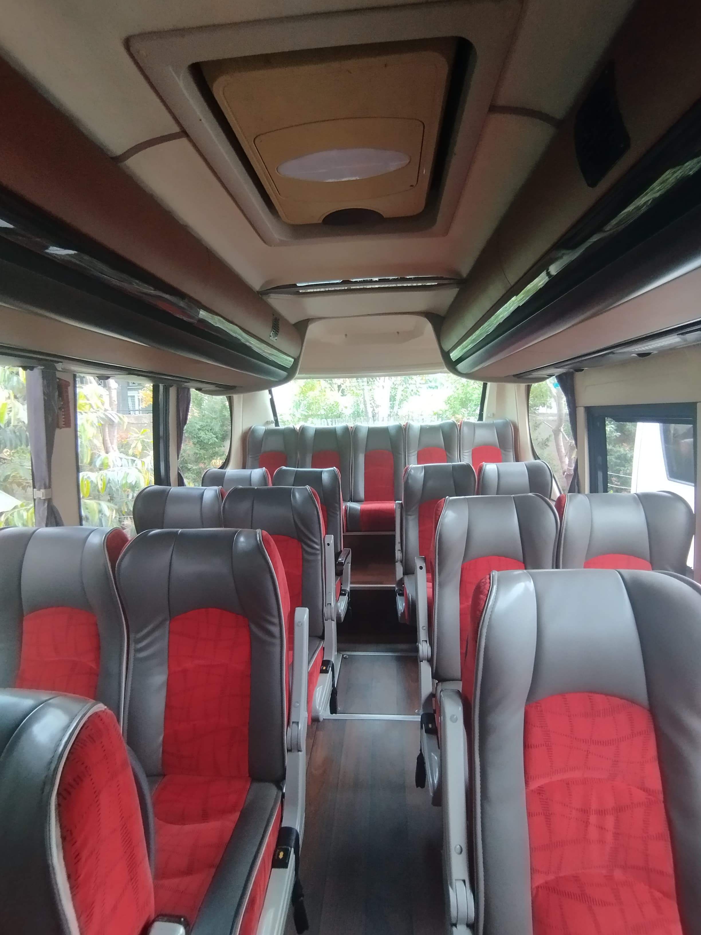 BISBUS ELF